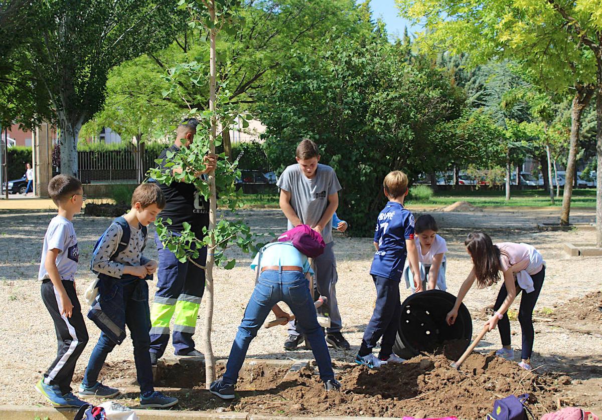 Diferentes actividades en el Parque Norte por el Día del Medio Ambiente
