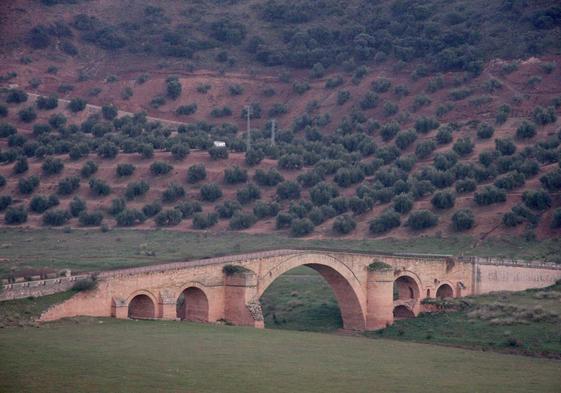 Vista del puente de Ariza.