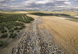 Una de las fotos premiadas.