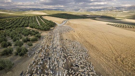 La ubetense Katy Gómez gana el Premio de Fotografía sobre el Paisaje Giennense