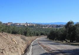 Úbeda desde el camino de San Antonio.
