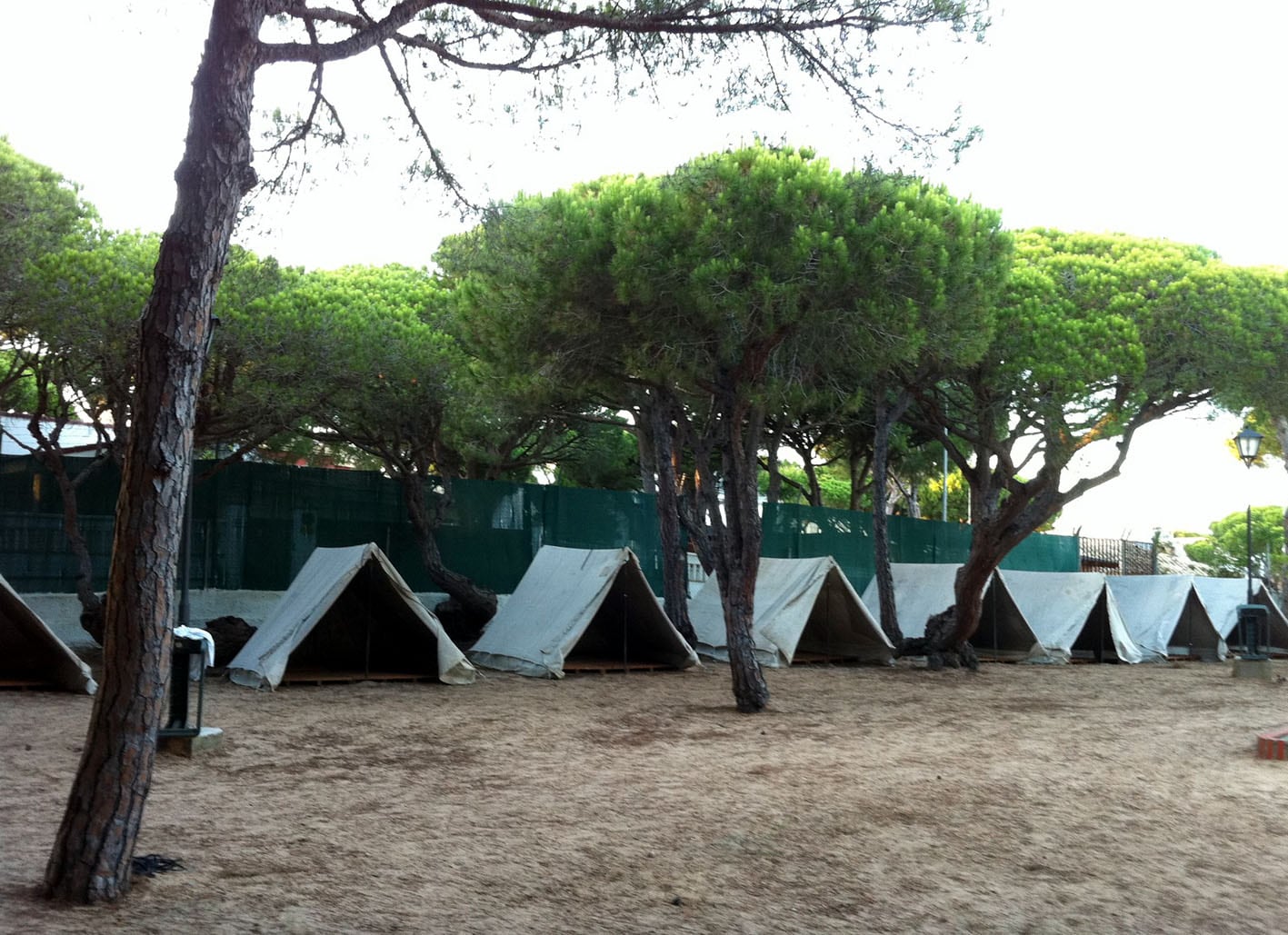Comenzó el primer turno de los campamentos de JAC en La Barrosa