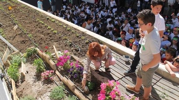 El colegio Virgen de Guadalupe de Úbeda inauguró su ecohuerto e invernadero