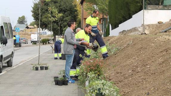 Adecuación de las nuevas zonas verdes.