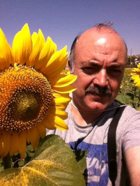 Flores. Francisco Hernández y su girasol, desde Guadahortuna.