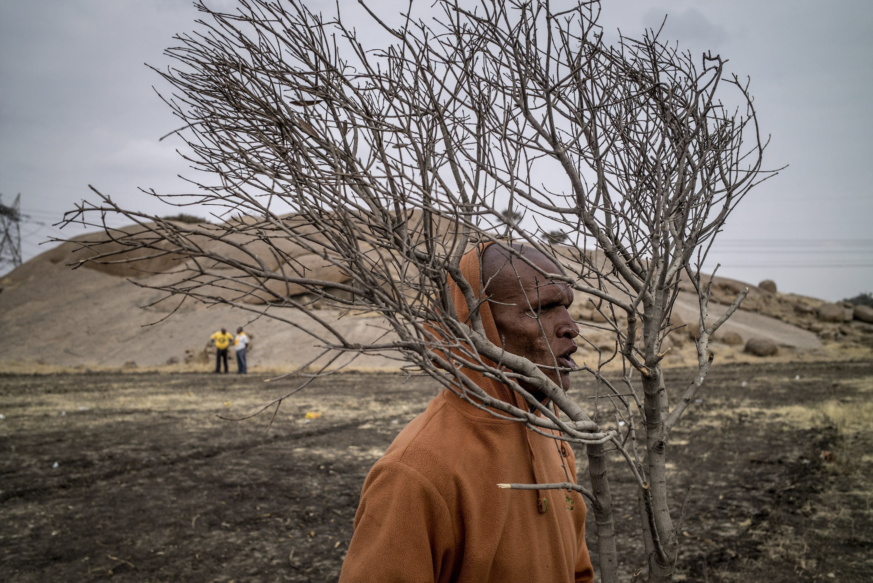 Mineros sudafricanos llevaban una rama de árbol en frente de la colina, donde hace dos años, muertos a tiros por la policía sudafricana unos mineros durante una violenta ola de huelgas.