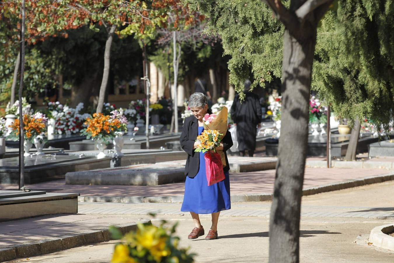Música en el Día de Todos los Santos