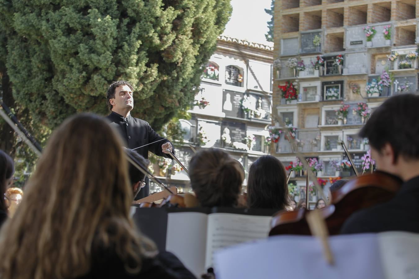 Música en el Día de Todos los Santos