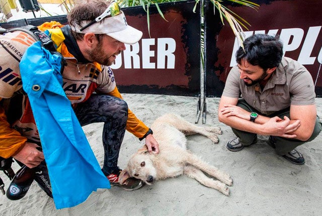 La persistencia de Arthur