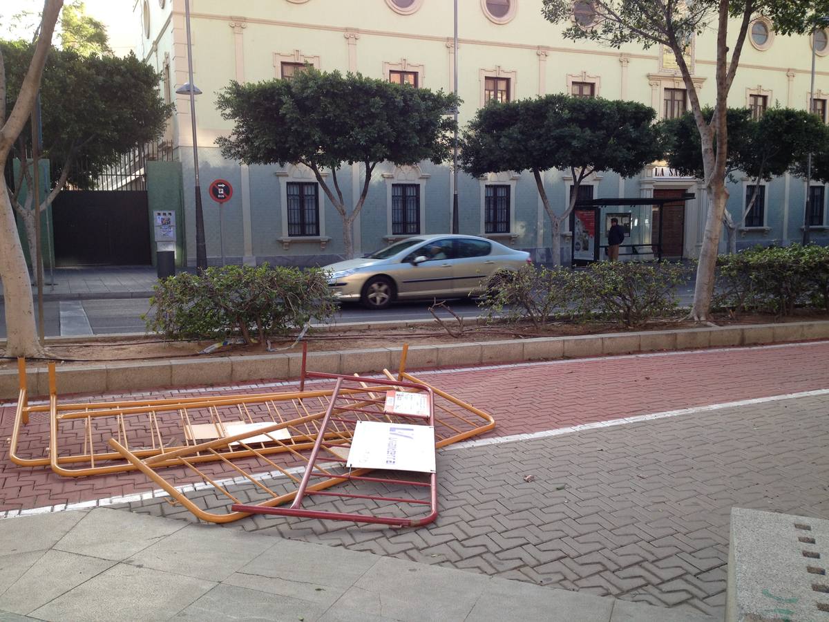 La fuerza del viento provoca cortes de luz y telefonía y caída de árboles y cableado
