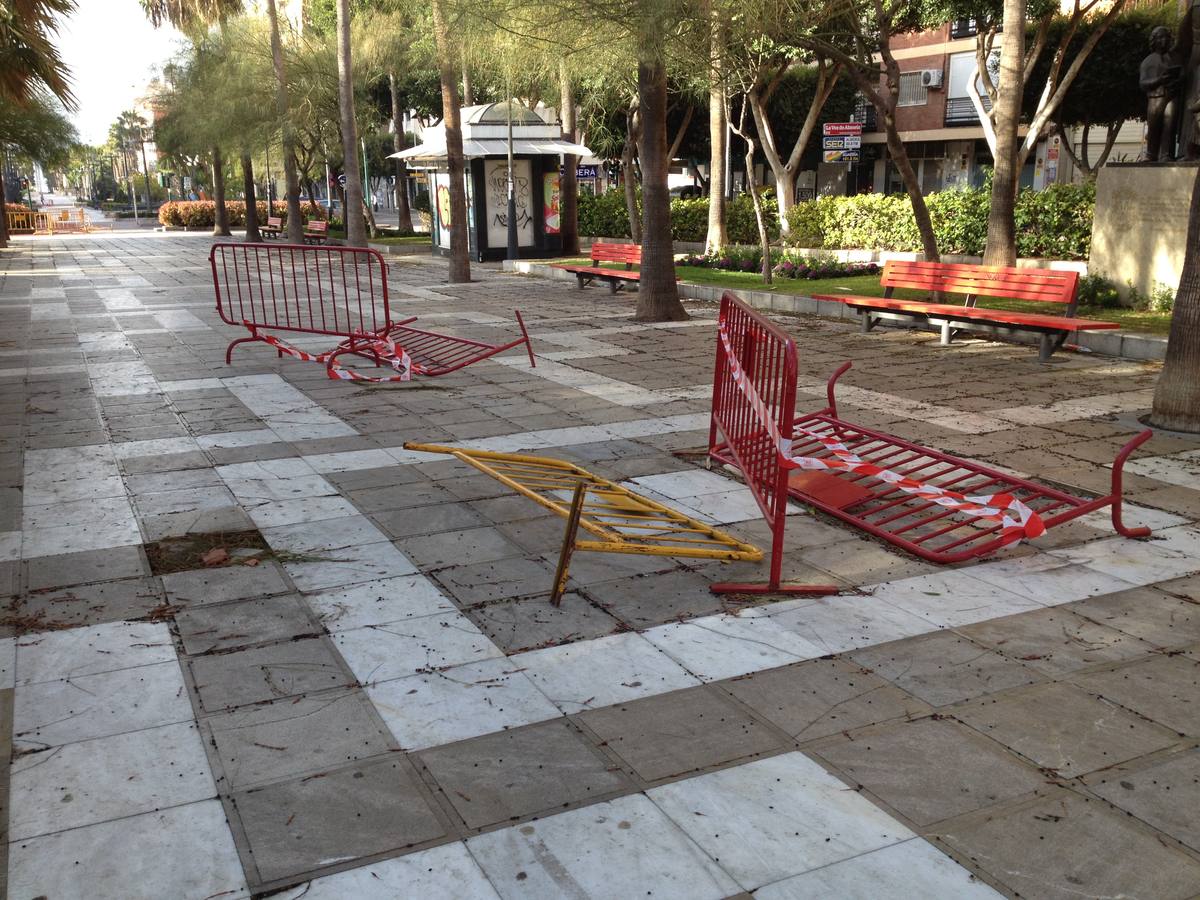 La fuerza del viento provoca cortes de luz y telefonía y caída de árboles y cableado