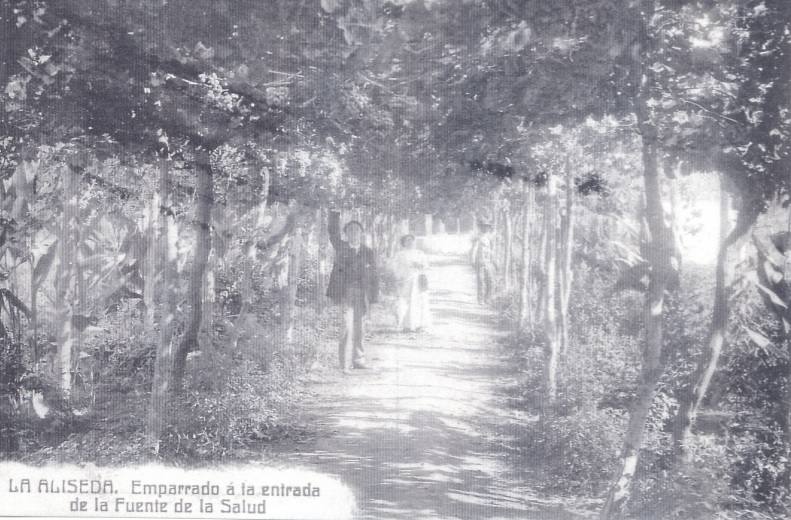 Emparrado a la entrada de la Fuente de la Salud.
