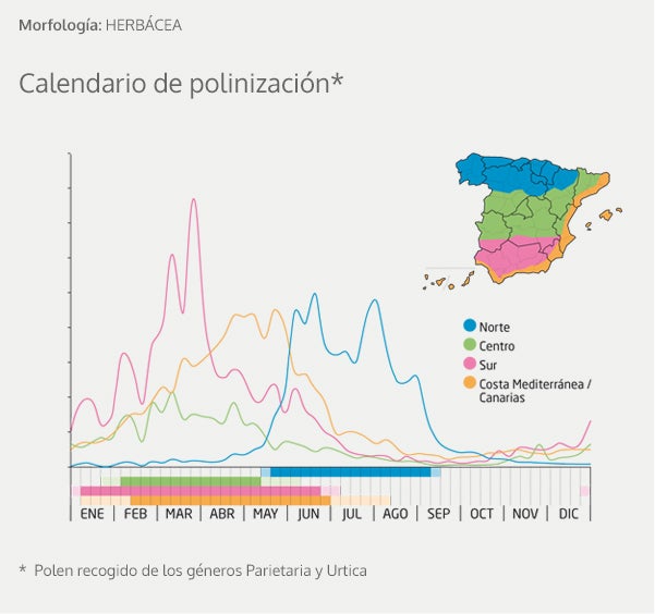 Alergia al polen: Calendario, mapa y zonas de polinización para olivo, gramíneas y otras plantas problemáticas