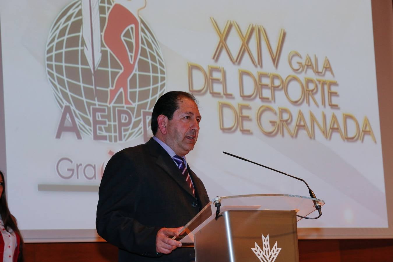 Referentes de los jóvenes granadinos