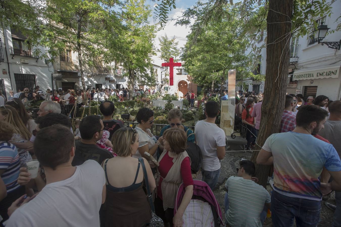 El &#039;crucero&#039; más grande por la ciudad