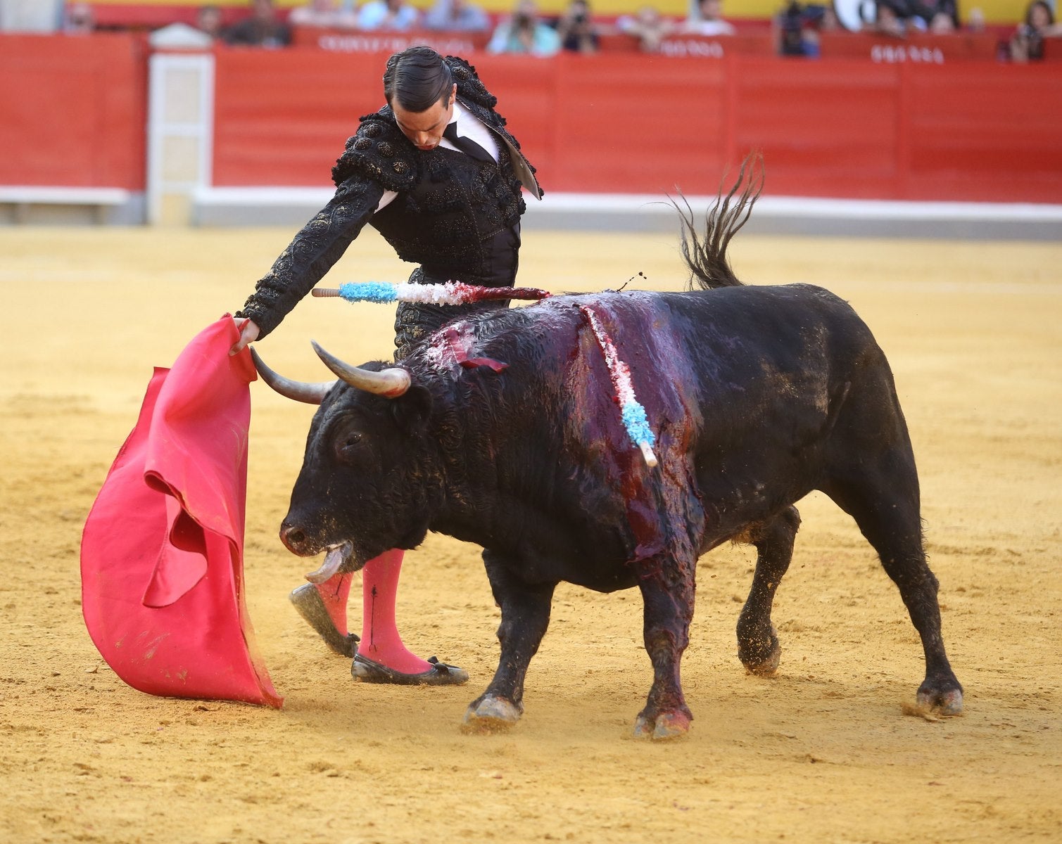 Triunfos de Morante y Talavante y Manzanares, que cae herido, en Granada