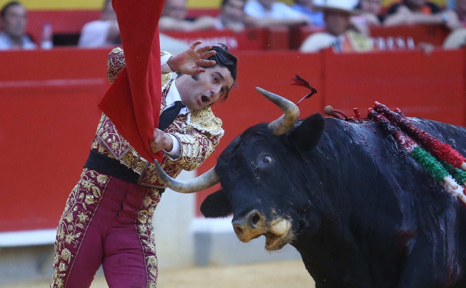 Triunfos de Morante y Talavante y Manzanares, que cae herido, en Granada