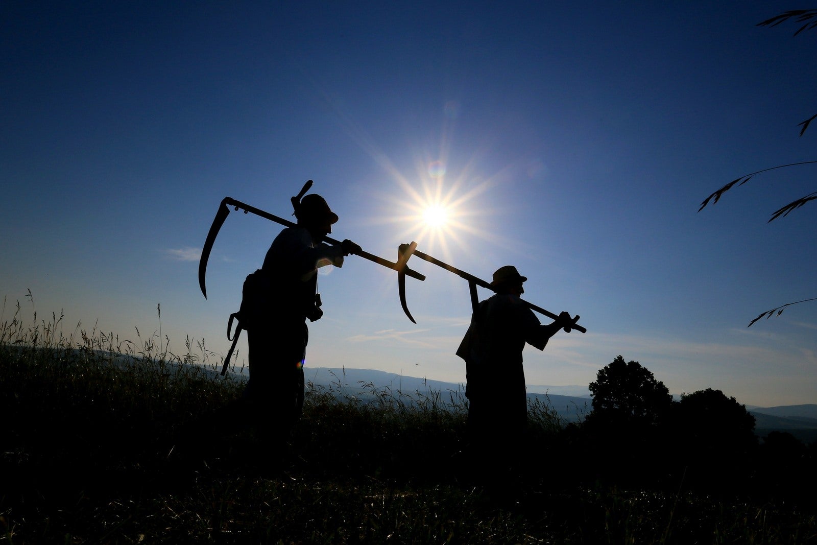 Hombres llevando guadañas y hoces marchan a un prado a cortar de manera tradicional en Mala Vrbka, Moravia del Sur.