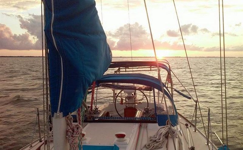 Dejan su monótona vida para recorrer el mundo en un barco con su gato