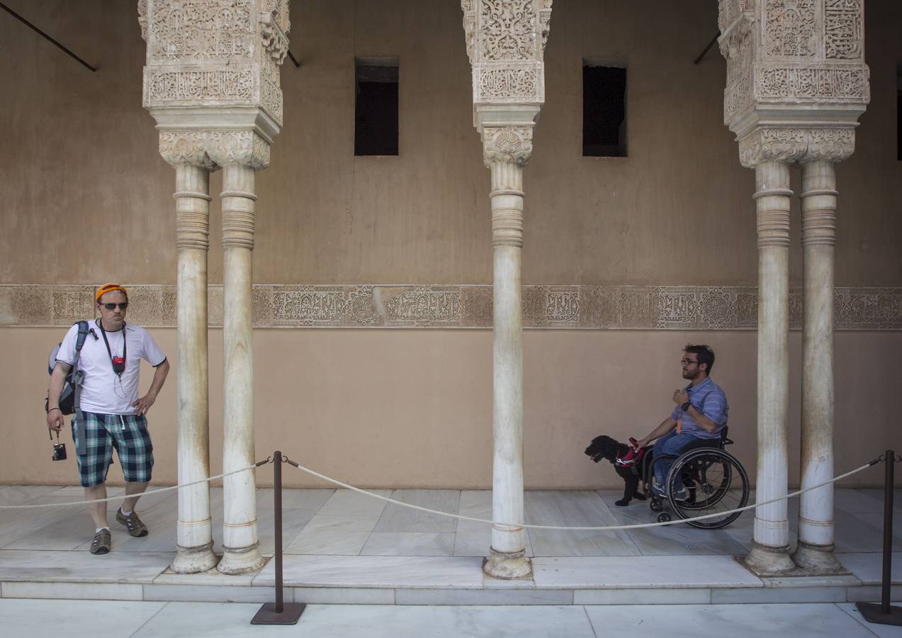 Mejorar la accesibilidad ha sido uno de sus objetivos. 