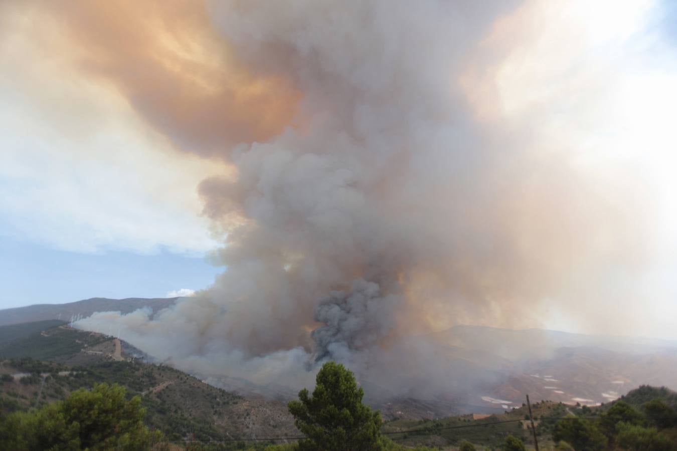 Alerta por un incendio forestal en Gualchos