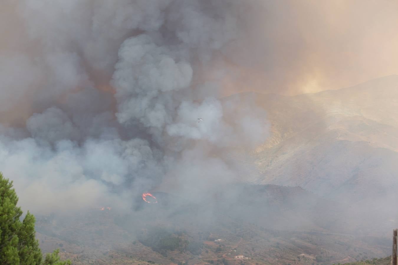 Alerta por un incendio forestal en Gualchos