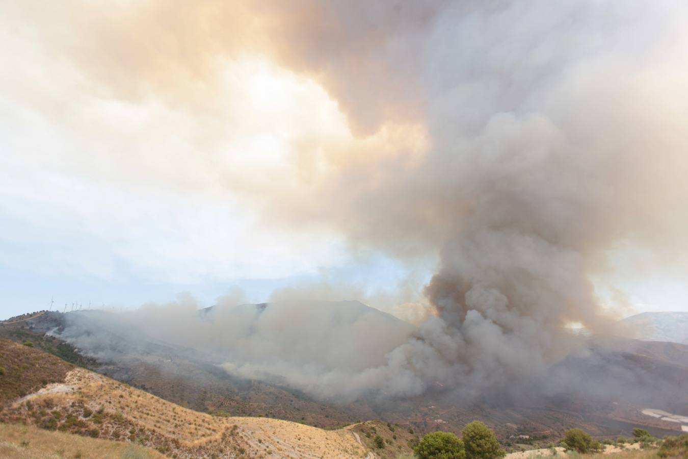 Alerta por un incendio forestal en Gualchos