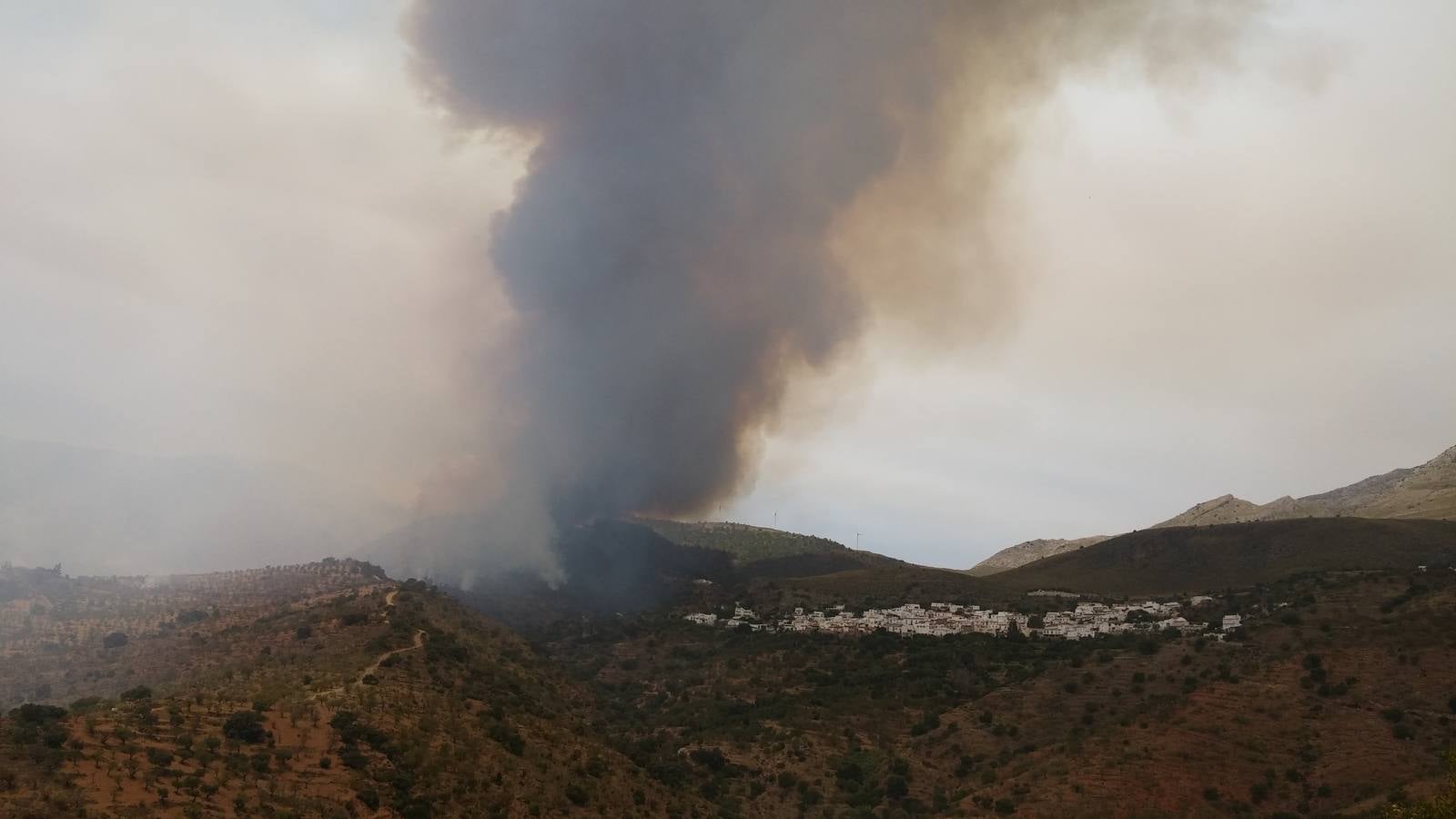 Alerta por un incendio forestal en Gualchos