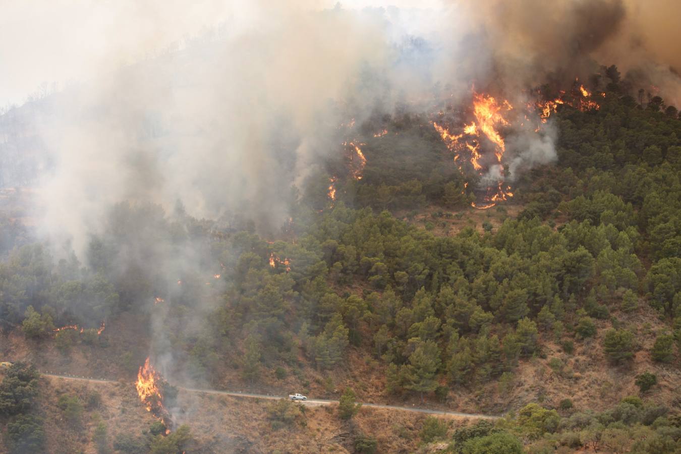 Alerta por un incendio forestal en Gualchos