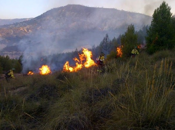 Efectivos de la UME y el INFOCA luchan contra el fuego en Quesada