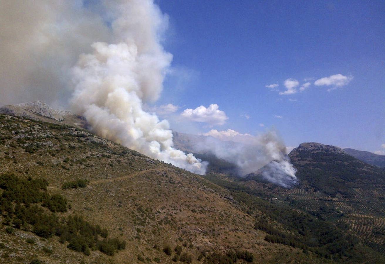 Un incendio con más de un foco calcina pinares y olivos en el monte Aznaitín