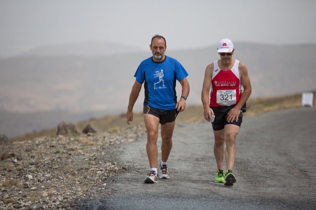 Subida al Veleta (VI)
