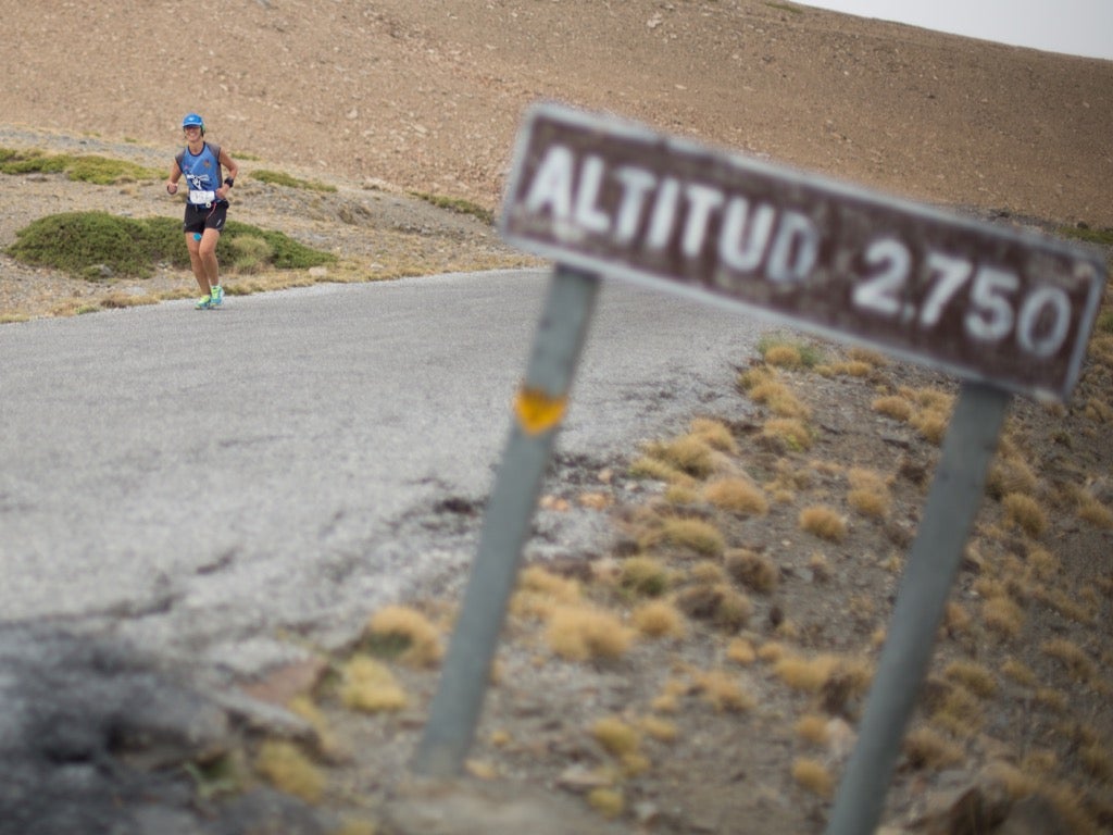 Subida al Veleta (VI)