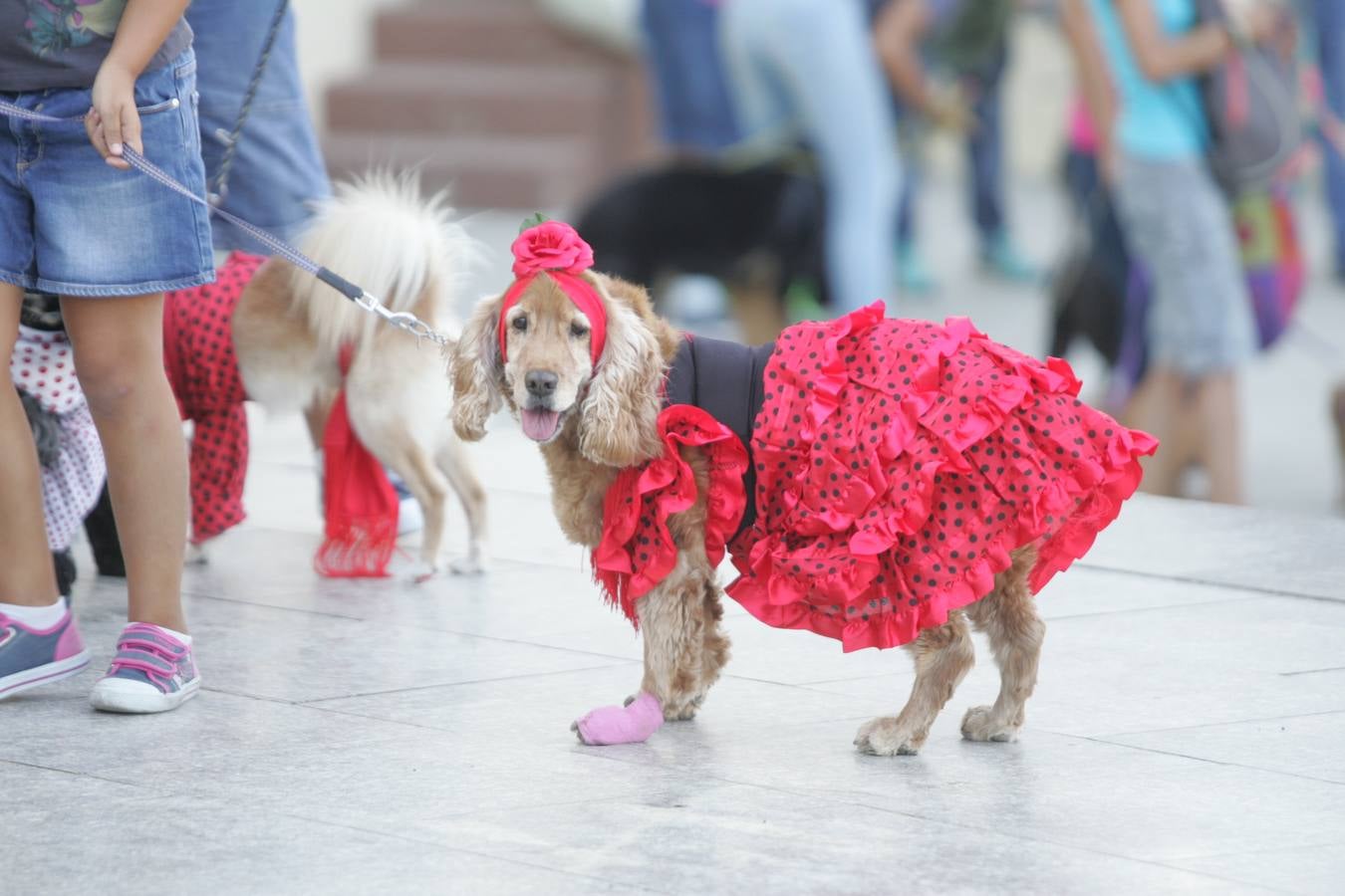 Los mil ladridos de la Feria más canina