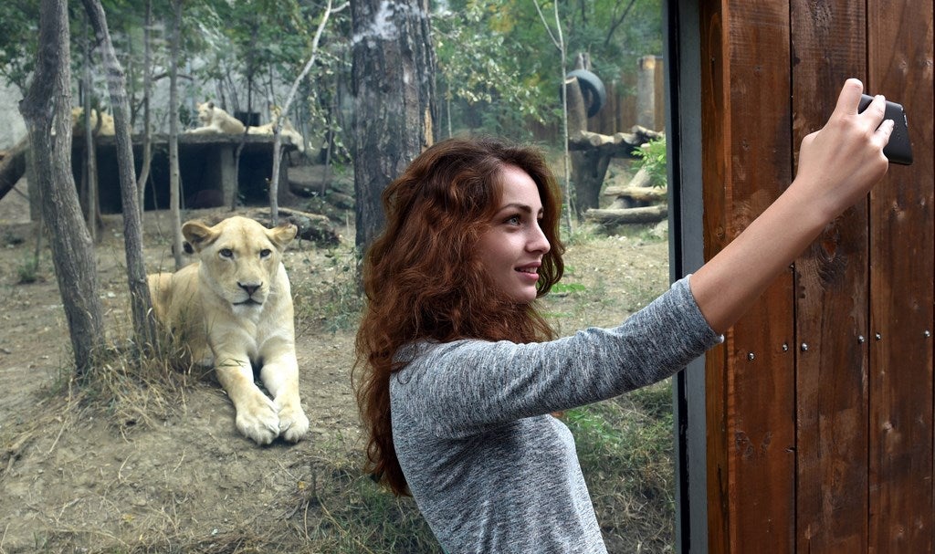 Una mujer se toma un selfie frente a la jaula de los leones al aire libre en el parque zoológico de Tbilisi. El zoológico ha reabierto hoy tras ser destruido por últimas inundaciones de junio.