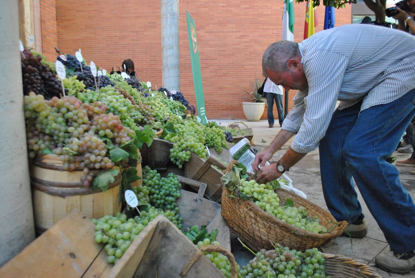 Días de vino y barcos