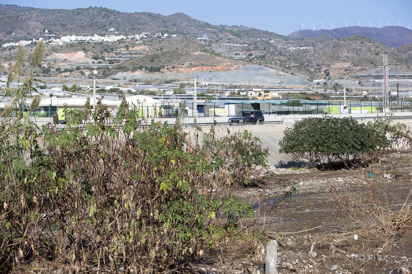 Albuñol. Los trabajos realizados en Albuñol resultan insuficientes.