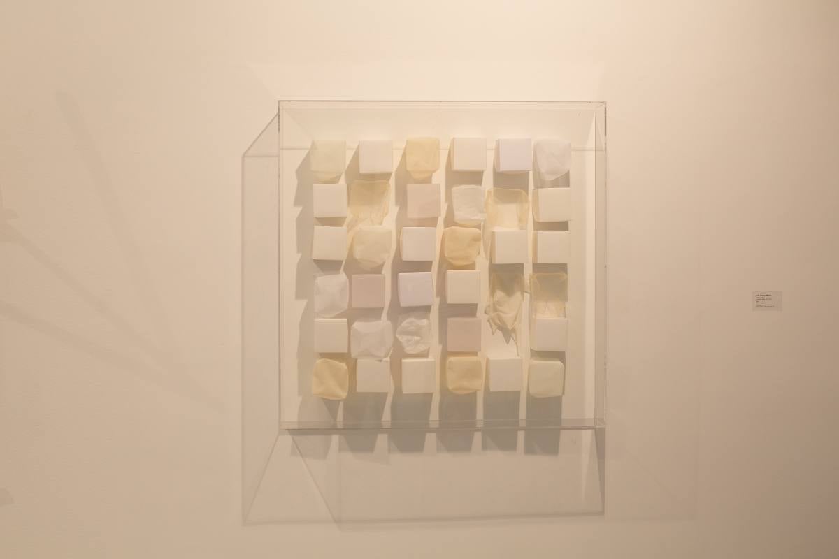 Obras de arte contemporáneo de 28 alumnos de Bellas Artes