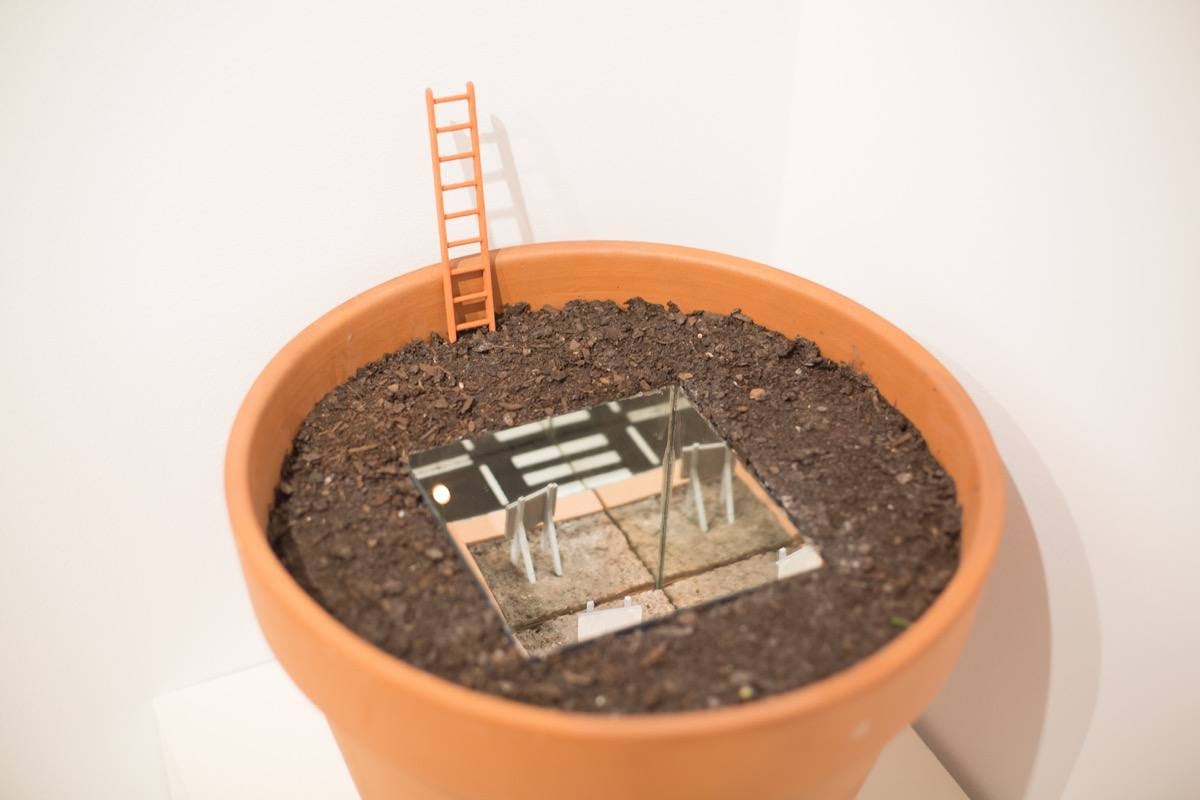 Los paisajes habitan La Madraza