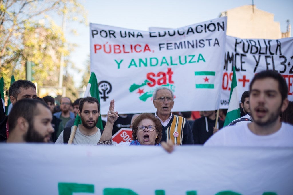 Un millar de estudiantes protestan en el centro de Granada contra la Lomce