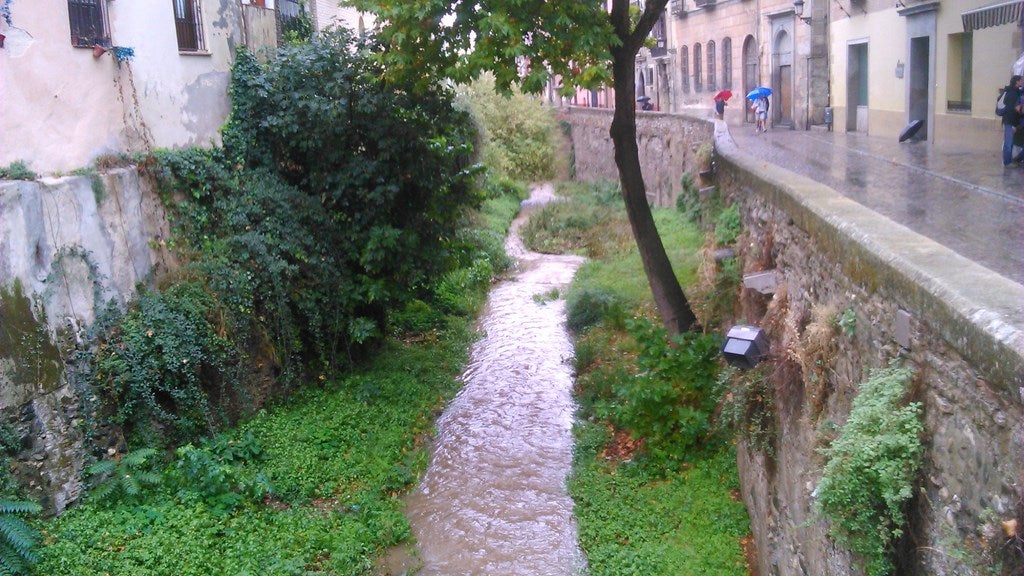 Llueve a gusto de todos