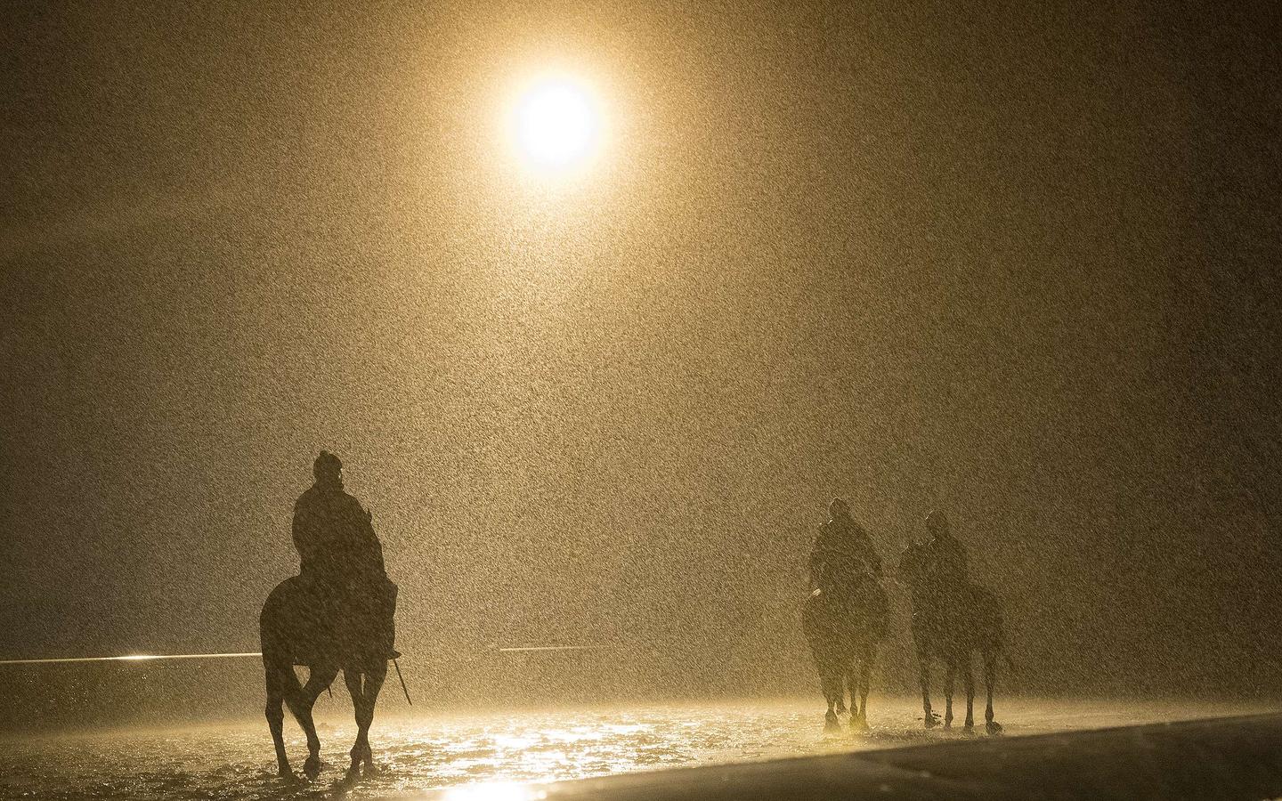 Los caballos hacen su recorrido alrededor de la pista bajo la lluvia que cae en el Hipódromo de Keeneland  durante los entrenamientos de la Copa de Criadores en Lexington, Kentucky.