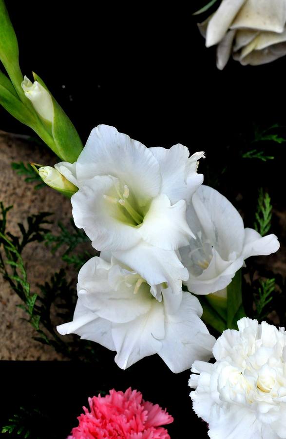 El jardín funerario