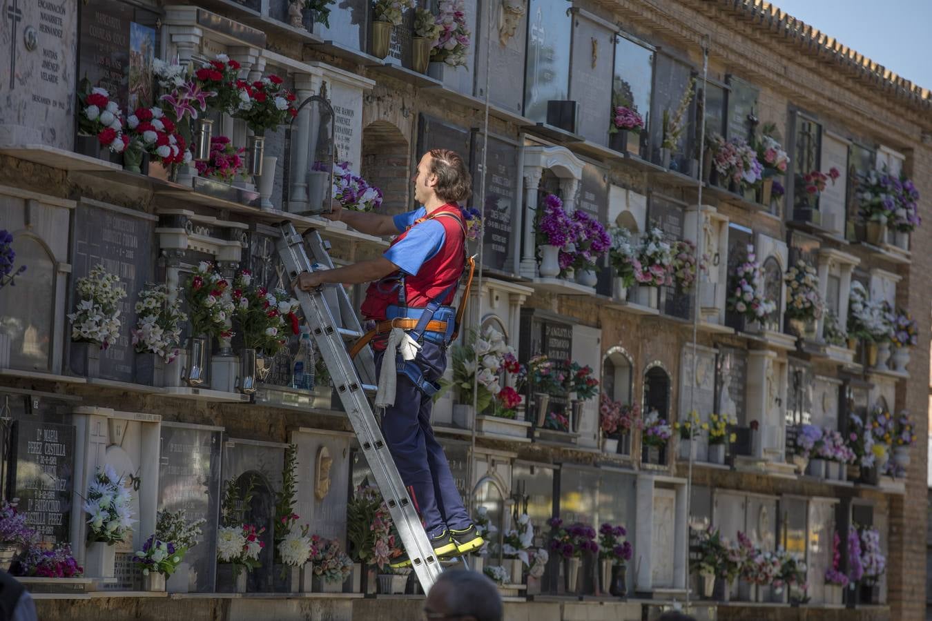 Todas las músicas en el cementerio