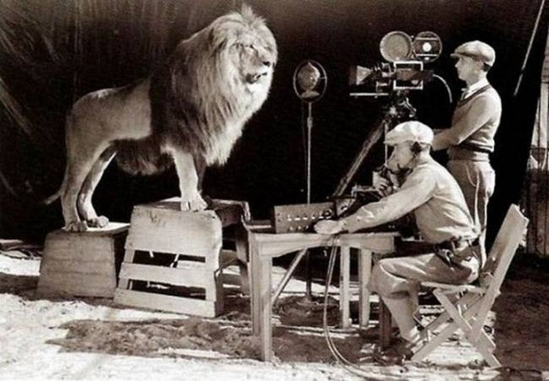 Filmación del emblematico rugído del leon de Metro-Goldwyn-Mayer.