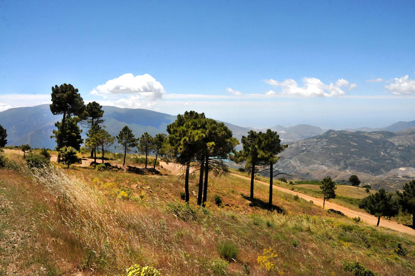 Sierra Nevada, testigo del cambio global