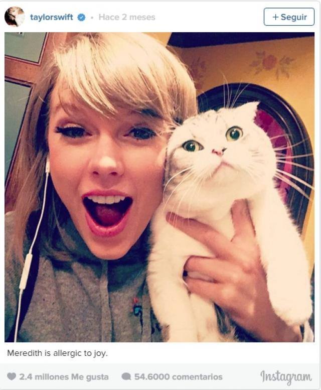 Taylor Swift y su gato Meredith. 