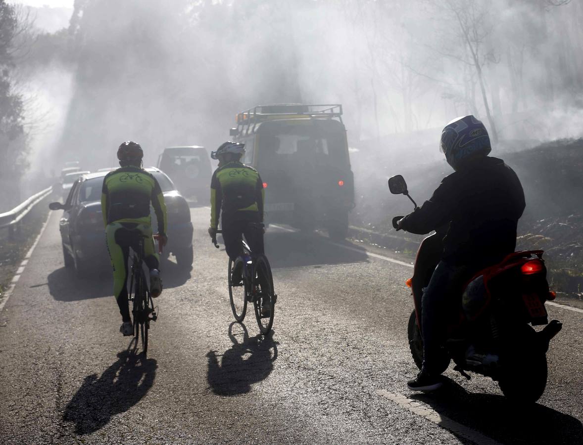 &quot;Anoche se nos quemó esto&quot;: los terribles efectos de los incendios en Asturias