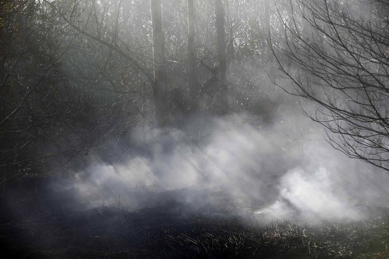 &quot;Anoche se nos quemó esto&quot;: los terribles efectos de los incendios en Asturias