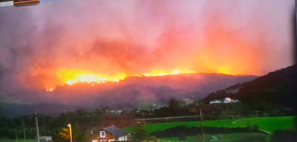 &quot;Anoche se nos quemó esto&quot;: los terribles efectos de los incendios en Asturias